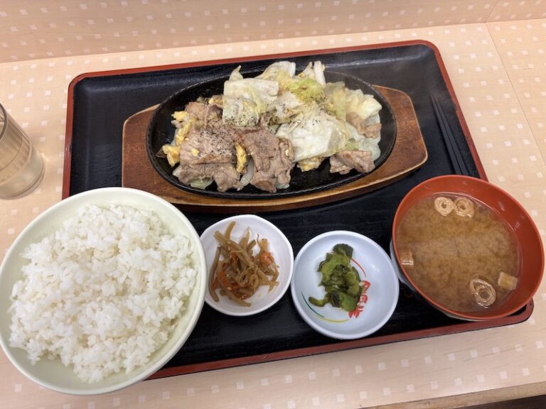 高速メシ